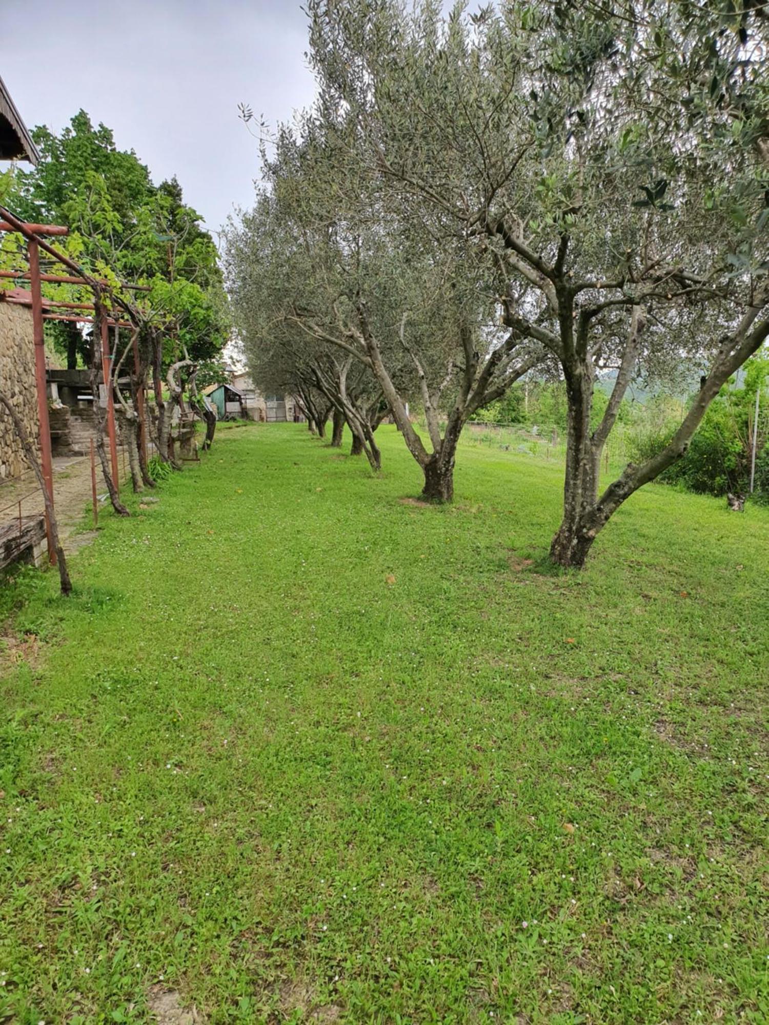 Apartma Vista Baredi 伊佐拉 外观 照片